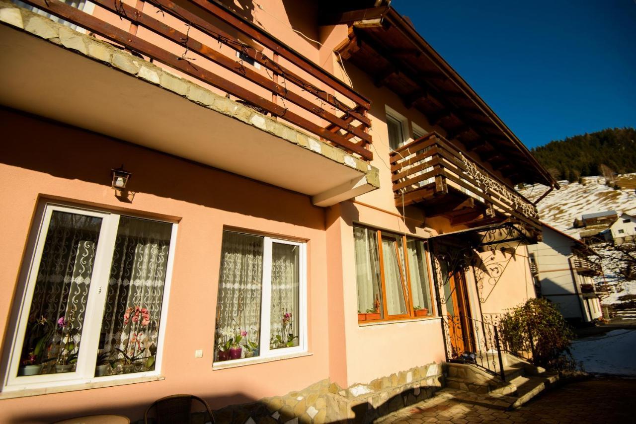 Vila Moecel Moeciu De Sus Exterior photo